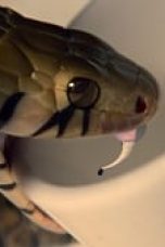 Nonton film Wu Assassins Season 1 Episode 6 Subtitle Indonesia Streaming Movie Download Gratis Online